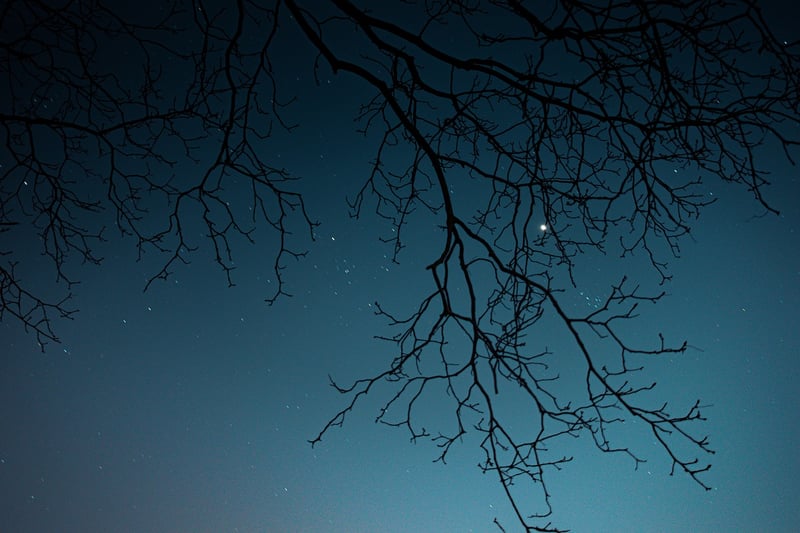 Quiet Cosmos